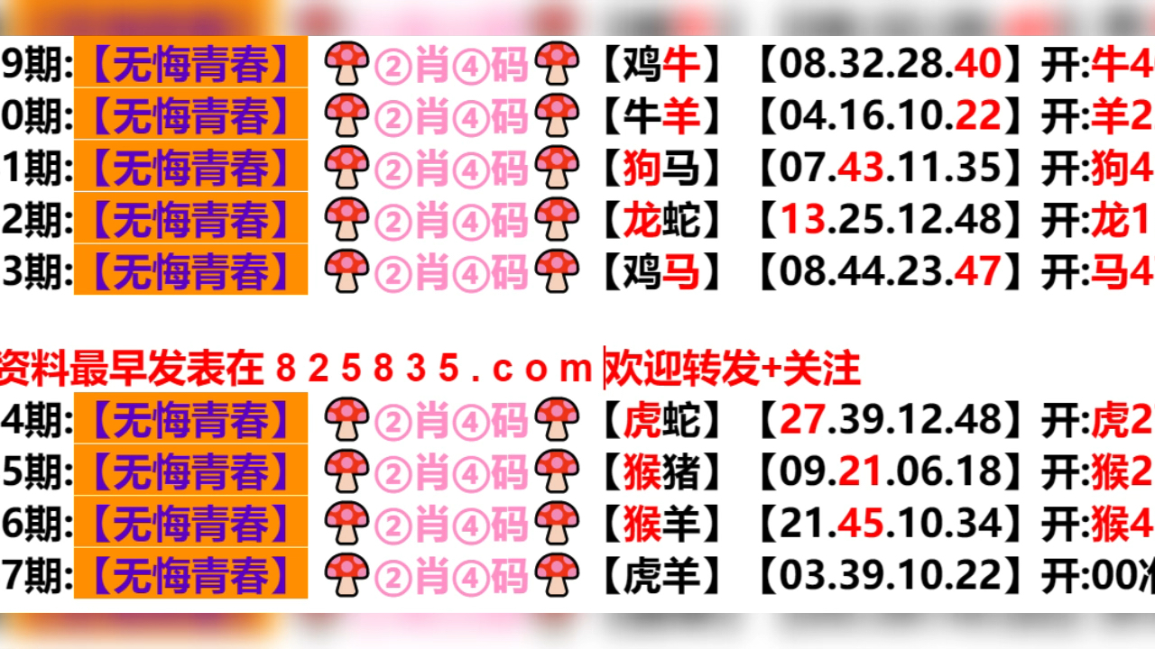 2024年新奥门天天开彩,稳定设计解析方案_娱乐版15.334