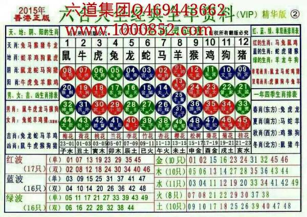 2024十二生肖49码表,高速响应方案规划_体验版56.567